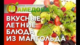 ???? Мангольд - Листовая Свекла. Как Приготовить?