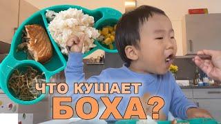 ЧТО КУШАЕТ КОРЕЙСКИЙ РЕБЕНОК? ЛЮБИМЫЕ БЛЮДА И КОРЕЙСКИЕ РЕЦЕПТЫ