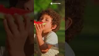 Топ-3 освежающих блюда для лета
