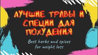 Травы, специи и пряности для похудания. Рецепты.