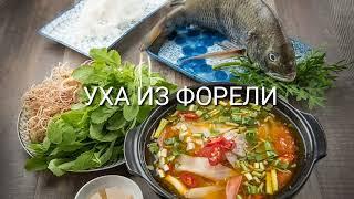 Уха из форели - четвертый день марафона ???? Творожные маффины и шоколадная колбаса на десерт ????☕