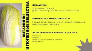 Пекинская капуста. Польза и вред. Полезные свойства пекинской капусты.