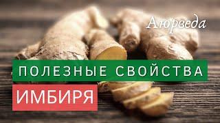 Полезные свойства имбиря | Аюрведа