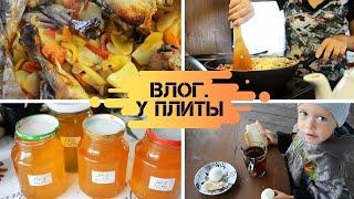 Готовлю РАГУ с мясом в духовке // РАССОЛЬНИК на зиму в банках // Закупились МЁДОМ //Завтрак на улице