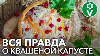 ОСТОРОЖНО, КВАШЕНАЯ КАПУСТА! К чему приводит частое употребление ферментированных продуктов?