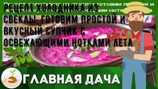 Рецепт холодника из свеклы: готовим простой и вкусный супчик с освежающими нотками лета