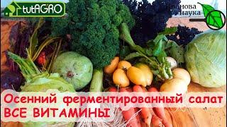 ОСЕННИЙ САЛАТ "ВСЕ ВИТАМИНЫ": отличный вкус, большая польза, мягкое очищение и заготовка овощей!