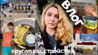 ВЛОГ ???? Как меня ПОДВЕЛ Озон ???????? Прохожу врачей ???? Новые питомцы ???? ДАЧА ????