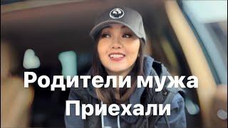 США|Американские родители встреча|Купили пальмы????#замужзаамериканца #жизньвамерике