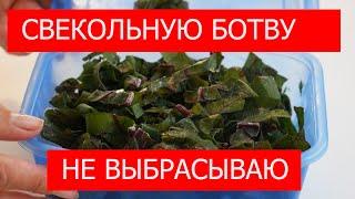 Свекольную БОТВУ НЕ ВЫБРАСЫВАЮ. Можно ее замораживать и готовить суп /щи @ДОБРЫЕ ЗНАНИЯ