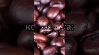 АНАТОМИЯ БЛЮДА: Деление кофе по степени обжарки