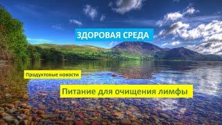 Здоровая среда. Питания для очищения лимфы. Акции февраля