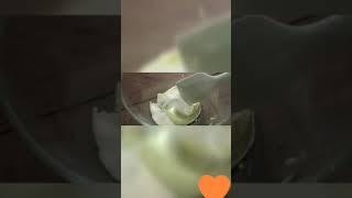 Невероятно вкусное Терамису