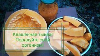 Очень вкусная и полезная квашенная тыква! Простейший рецепт для вкусных блюд!