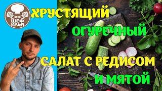 Хрустящий огуречный салат с редисом и мятой | Рецепт