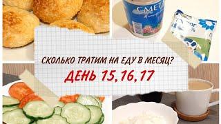 Сколько тратит на питание в месяц семья из 3 человек?/День 15, 16, 17/Фудбук/Кокосовые сырники