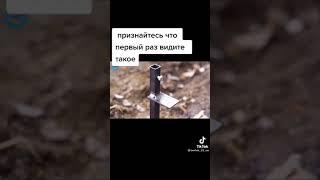 Готовка на природе/ #рецепт #походы #лес #лайфхаки #полевая кухня #tiktok #toca kitchen