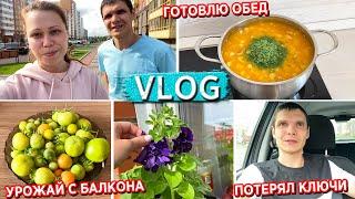 ПОТЕРЯЛ КЛЮЧИ ОТ ДОМА || ГОТОВЛЮ ОБЕД || УРОЖАЙ НА БАЛКОНЕ