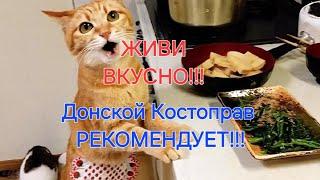 ASMR Том Ям и другие вкусности!!! центр Народной Медицины Донской Костоправ Ростов-НА-Дону