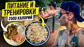 ПИТАНИЕ И ТРЕНИРОВКИ | ДЕНЬ ИЗ ЖИЗНИ | 2500 КАЛОРИЙ