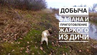 Охота на фазана и рецепт приготовления