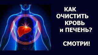 Здоровье печени КАК ОЧИСТИТЬ ПЕЧЕНЬ ОТ ТОКСИНОВ. ФУНКЦИИ ПЕЧЕНИ. ПОЛЕЗНЫЕ СВОЙСТВА КИНЗЫ.