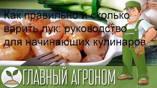 Как правильно и сколько варить лук: руководство для начинающих кулинаров