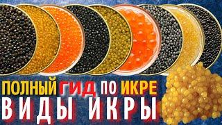 Самый Полный Гид по Икре | Разновидности Черной и Красной Икры