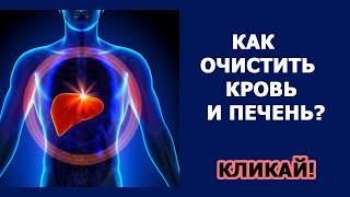 Очищение КАК ОЧИСТИТЬ ПЕЧЕНЬ ОТ ТОКСИНОВ. ФУНКЦИИ ПЕЧЕНИ. ПОЛЕЗНЫЕ СВОЙСТВА КИНЗЫ.