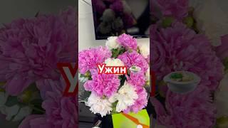 #обед #еда #пища #ужин #завтрак #суп #пюре #курица #котлеты #рулет #салат #гарнир #окрошка #яичница