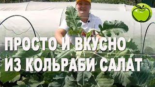 Кольраби вырастили и приготовили очень вкусный полезный салат.