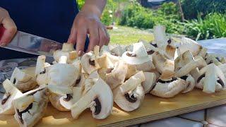 Рецепт Самых Вкусных Грибов❗❗❗ Mushrooms