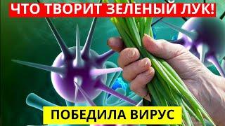 Что Творит ЛУК? Многие Едят ЗЕЛЕНЫЙ ЛУК, Но Даже Не Догадываются Об Его Действии На Организм...