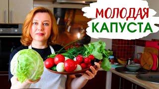 Что вкусного приготовить из МОЛОДОЙ КАПУСТЫ  Любимые рецепты с капустой на любой вкус