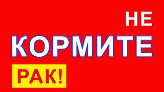 Онкологи Назвали Продукты Вызывающие РАК. Топ 10 Вредных Продуктов, Это НУЖНО Знать КАЖДОМУ!