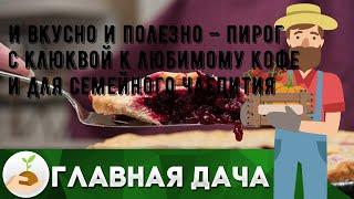 И вкусно и полезно – пирог с клюквой к любимому кофе и для семейного чаепития