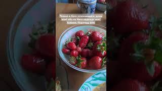 Мой ужин. Суп наподобие харчо, рис с салатами, клубника.