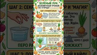 Хочешь свежий ЛУК? Этот КУЛИНАРНЫЙ приём обеспечит зеленью навсегда