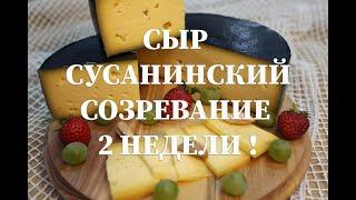 Сыр Сусанинский , рецептура приготовления в домашних условиях   Вызревание 2 недели