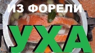 УХА ИЗ ФОРЕЛИ В АФГАНСКОМ КАЗАНЕ НА РАСКЛАДНОЙ ДРОВЯНОЙ ПЕЧКЕ РЕЦЕПТЫ СЮФ