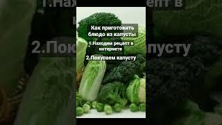 Как приготовить блюдо из капусты, рецепты из капусты