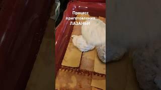 Процесс приготовления лазаньи #лазанья #lasagna #food ##shorts ##usa #еда #їжа